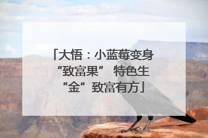 大悟：小蓝莓变身“致富果” 特色生“金”致富有方